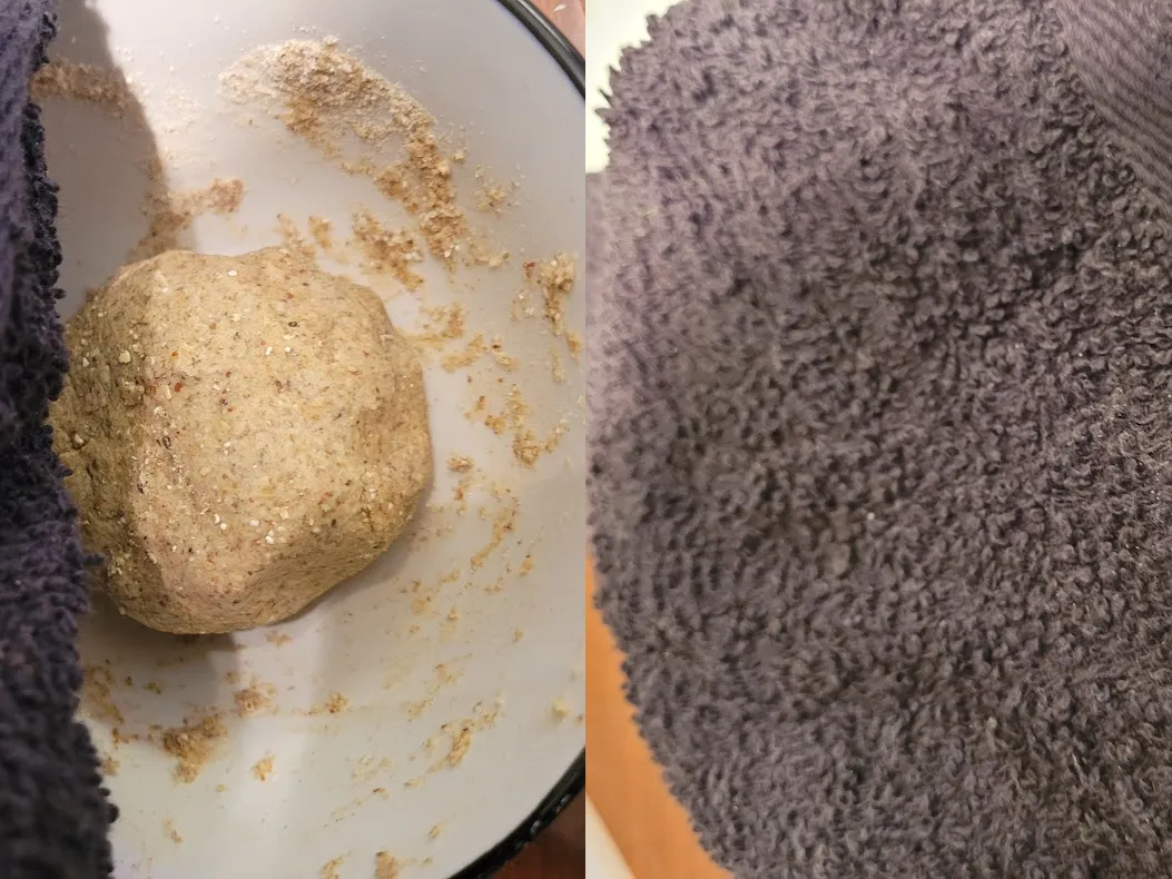 Resting palnt based wfpbno vegan gluten free pierogies dough