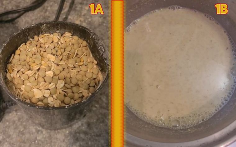 WFPB Mini Nugget Tenders with Honey-less mustard dressing nugget mix