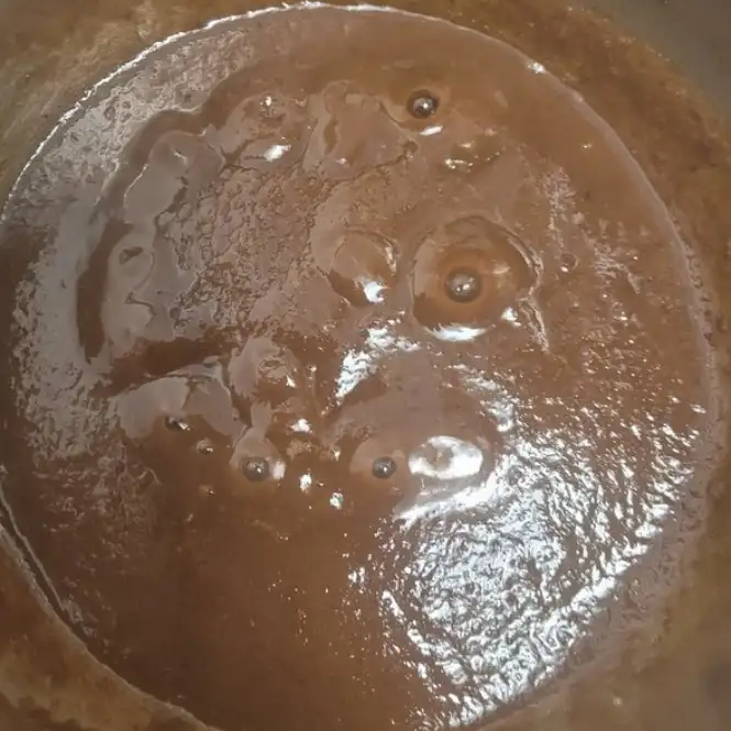 Raisin Syrup paste